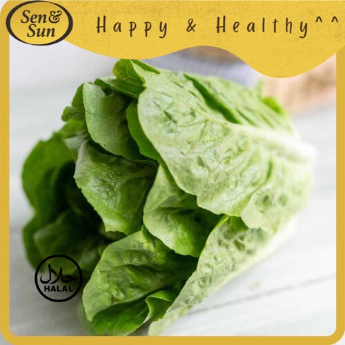 

Sen&Sun Selada Romaine Hijau Conventional 250 gr -