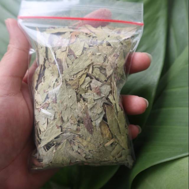 

Teh jati china