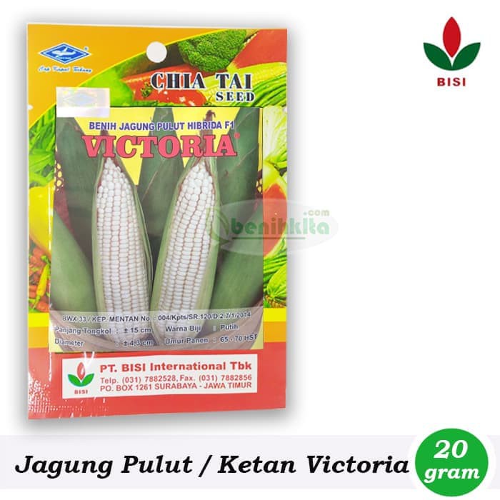 MURAH Benih-Bibit Jagung Pulut/Ketan Victoria F1 (BISI) NEW