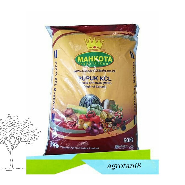 Pupuk KCL Mahkota 1kg MOP - Origin Canada Repack Termurah