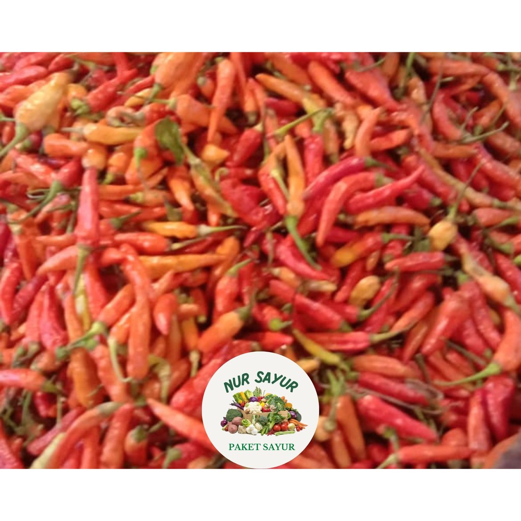 

Cabe Rawit Merah / 250 gr