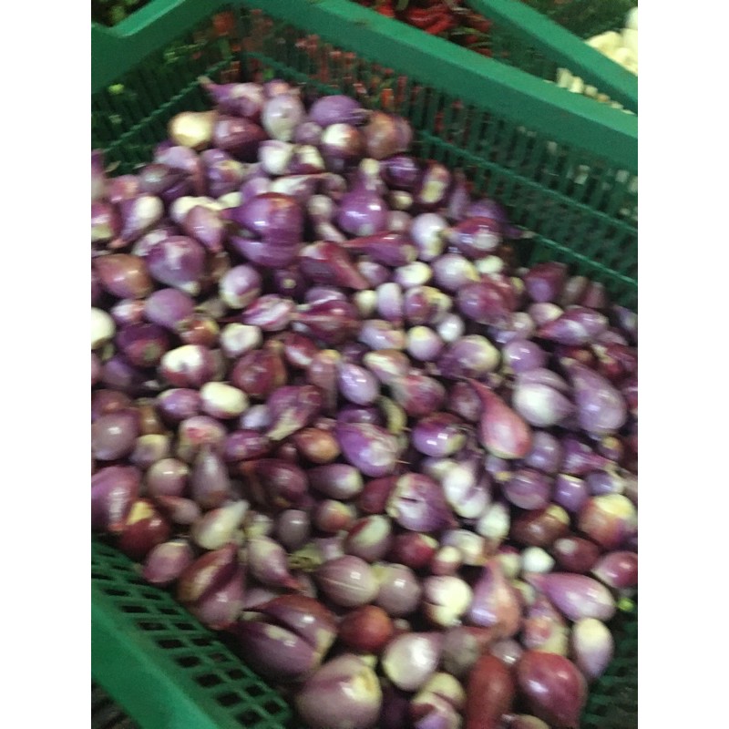 

bawang merah kupas 1kg~40000