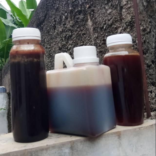 Madu Kelanceng Pasundan dengan kemasan 500g