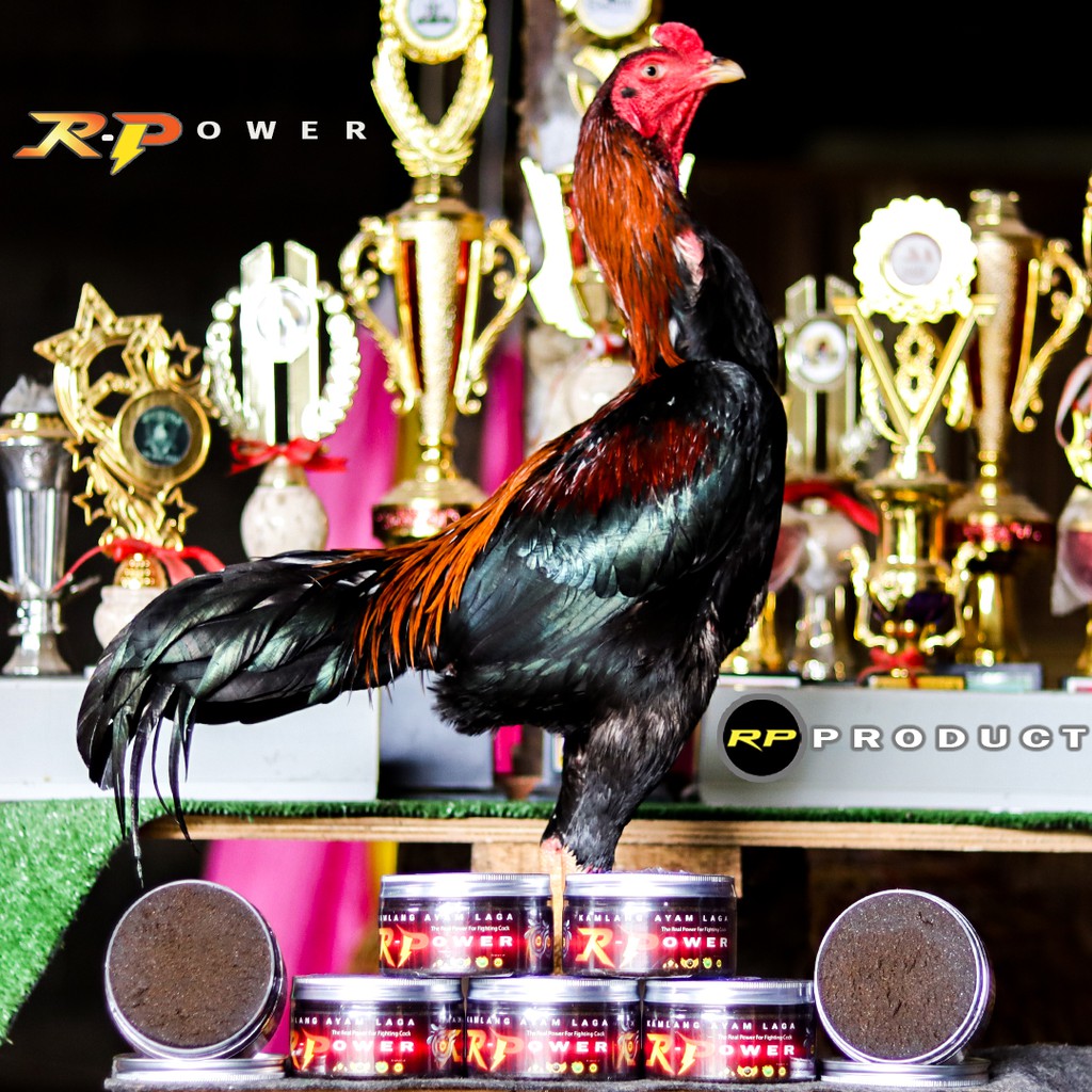 KAMLANG R POWER JAMU HARIAN AYAM LAGA STAMINA BERTAMBAH NAFAS PANJANG FULL AGRESIF
