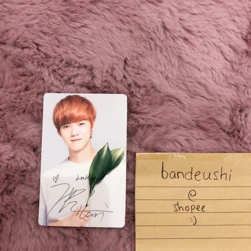 BOOKED // EXO LUHAN NATURE REPUBLIC PC PHOTOCARD NATREP