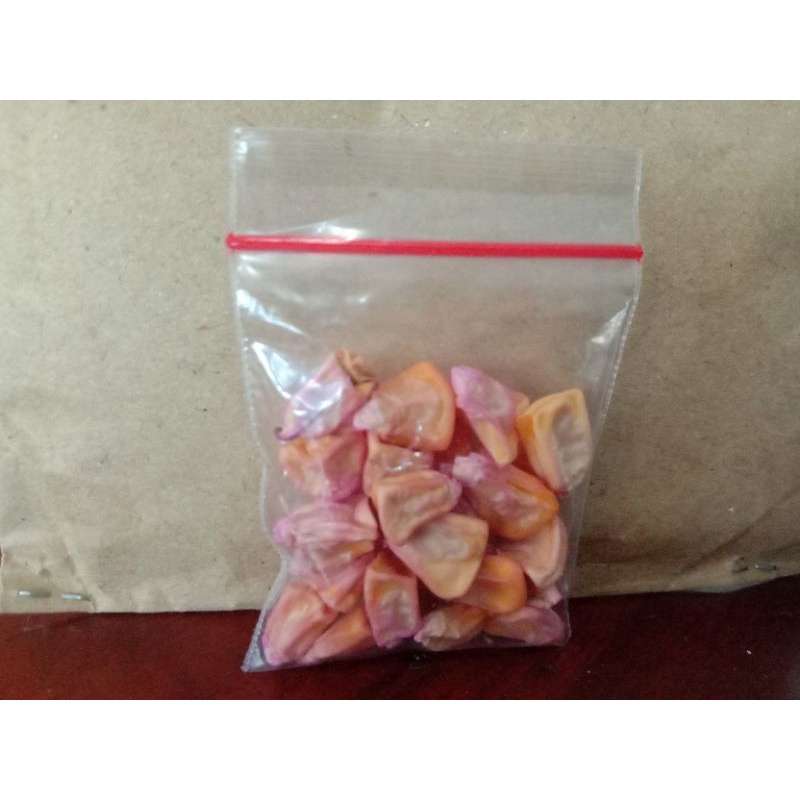 

jagung manis