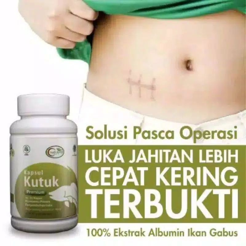 KAPSUL KUTUK Kapsul Kutuk Premium Ekstrak Albumin Solusi Pacsa Operasi Terbukti Ampuh 100% Asli