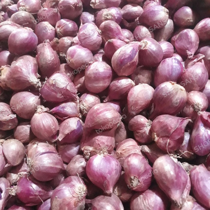 

Bawang Merah