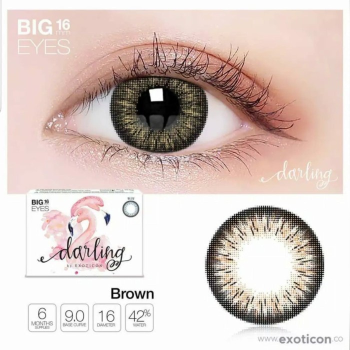 Softlens X2 DARLING big eyes 16mm by EXOTICON Soflens Soflen NORMAL - Brown, NORMAL