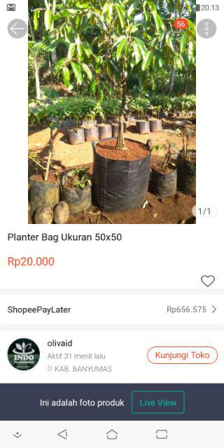Planter Bag Ukuran 30x30
