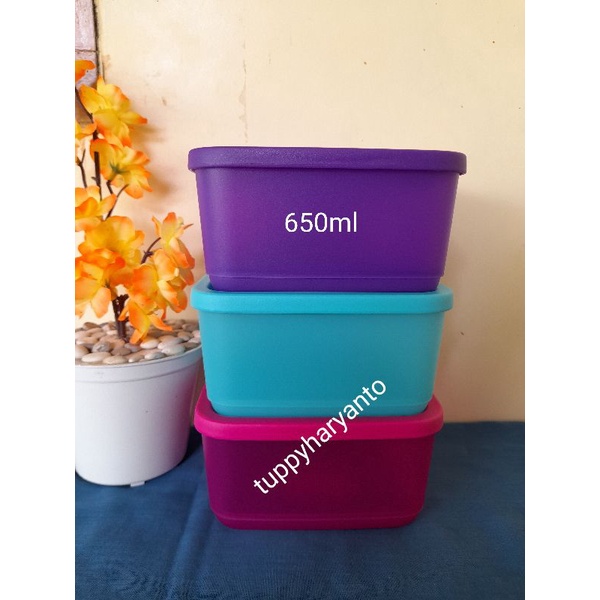 tupperware toples small tropical 650ml satuan