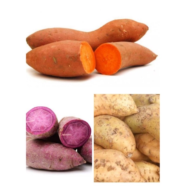 

UBI MADU MIX (Cilembu,Ungu,Orange) 1Kg