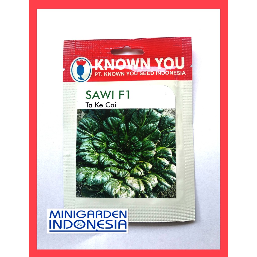 SAWI TA KE CAI 5 GRAM PACK KECIL biji Benih Sawi Pagoda Tatsoi Takecai F1 Known You Seed bibit sayuran hidroponik