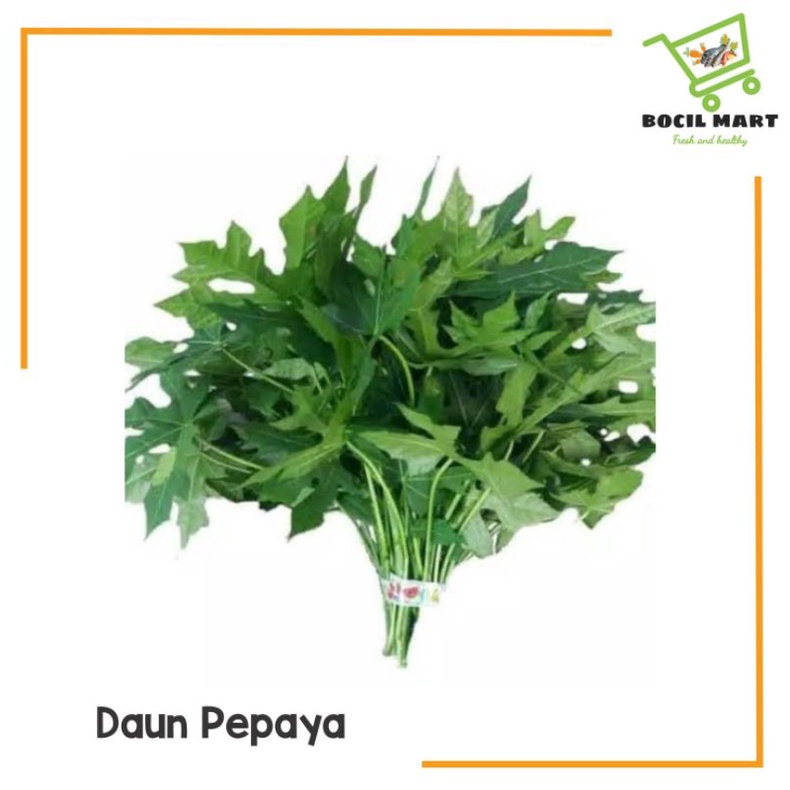 

[BOCIL MART] DAUN PEPAYA 1 IKAT