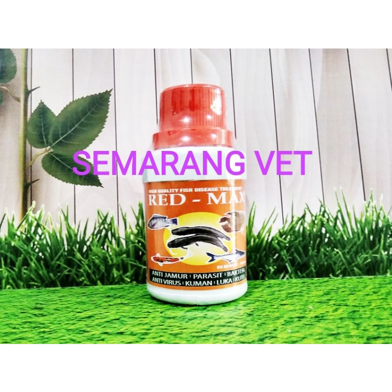 Obat Jamur Ikan Chana Obat Jamur Ikan Koi Obat Jamur Ikan Koki Obat Jamur Ikan Hias Obat Bakteri dan