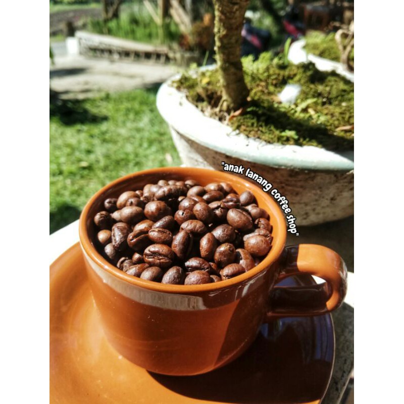 

Kopi Lanang robusta (BUBUK) Temanggung - Peaberry