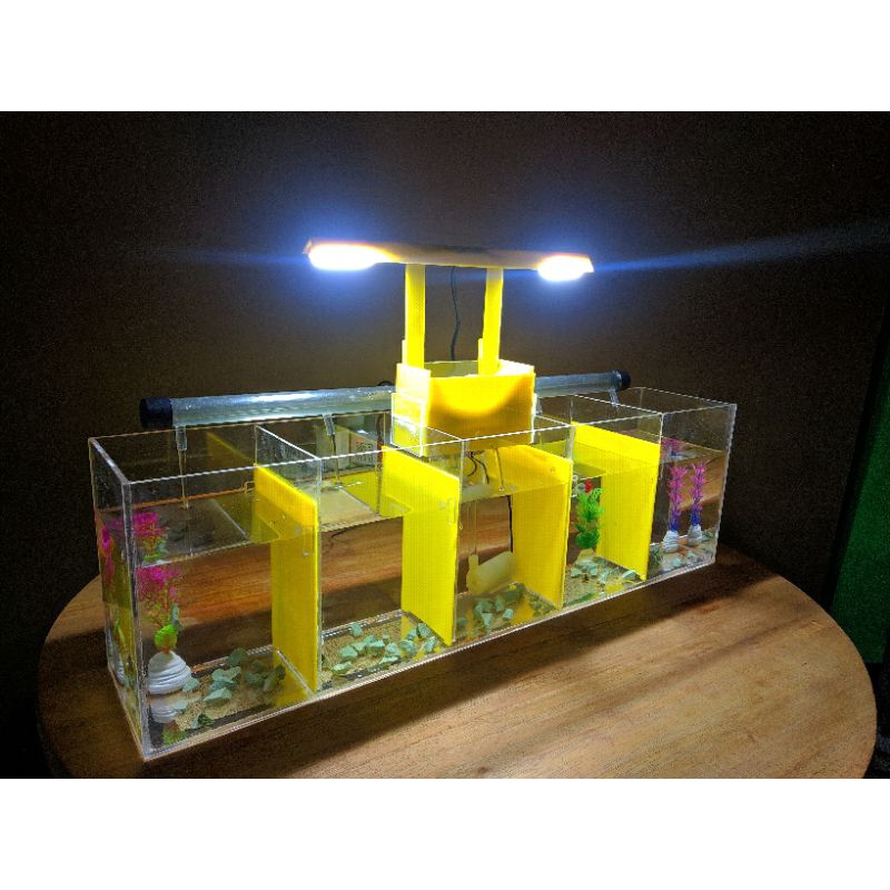 Aquarium soliter akrilik ikan cupang sekat 5 kamar UK 50 x 10 x 15 full set (NEW PACKING FULL BUBBLE