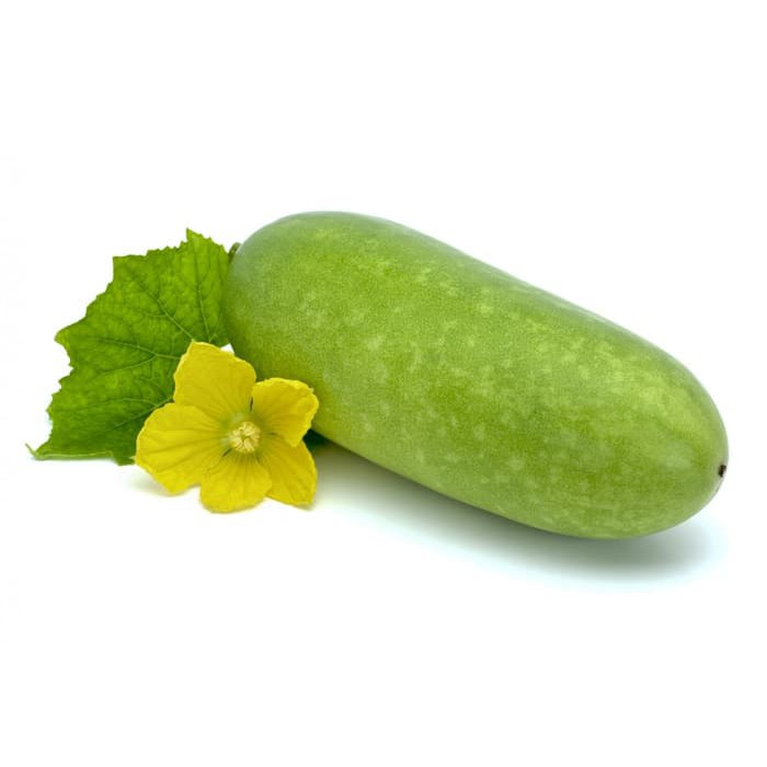 15 biji benih buah kundur