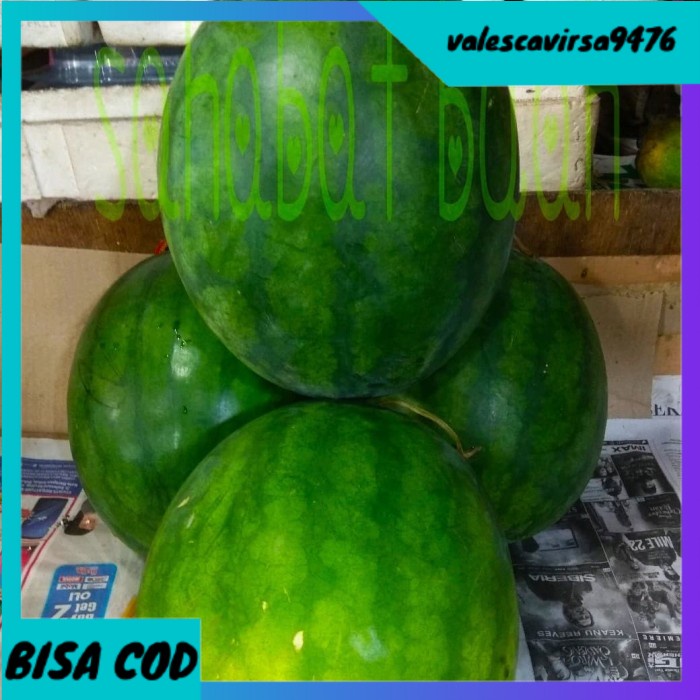 

⭐BISA COD⭐ BUAH SEMANGKA MERAH NON BIJI