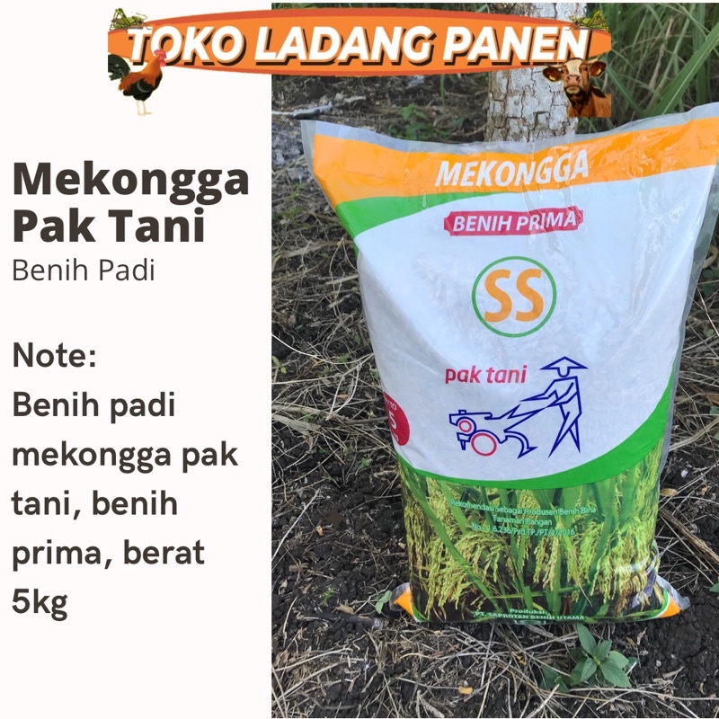Benih Padi Mekongga Pak Tani 5kg | Benih Padi Prima
