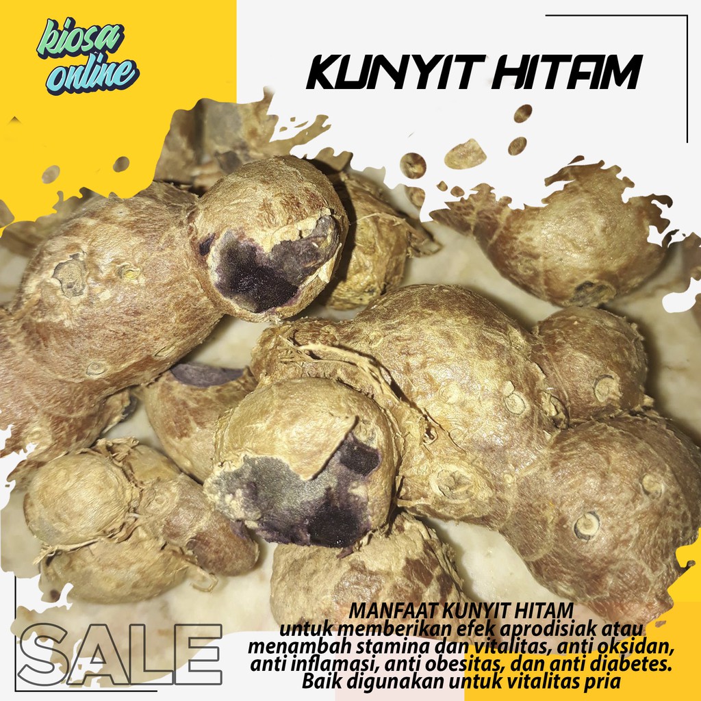 kunyit hitam rimpang kunyit hitam asli