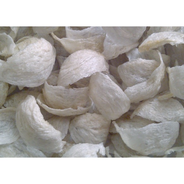 

SARANG WALET SIAP SAJI ASLI PONTIANAK