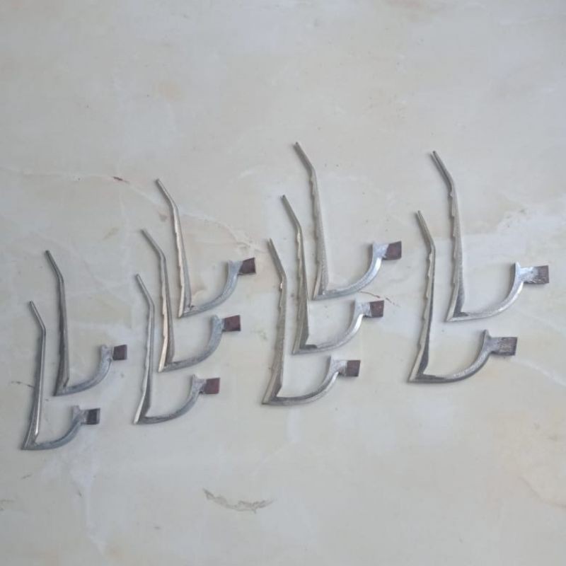 GAGANG TAJI AYAM FILIPINA BAJA CIRCLE