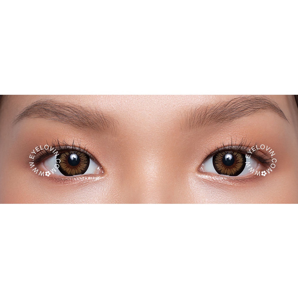 EYELOVIN Softlens Mite Clair - Royal Almond Chocolate