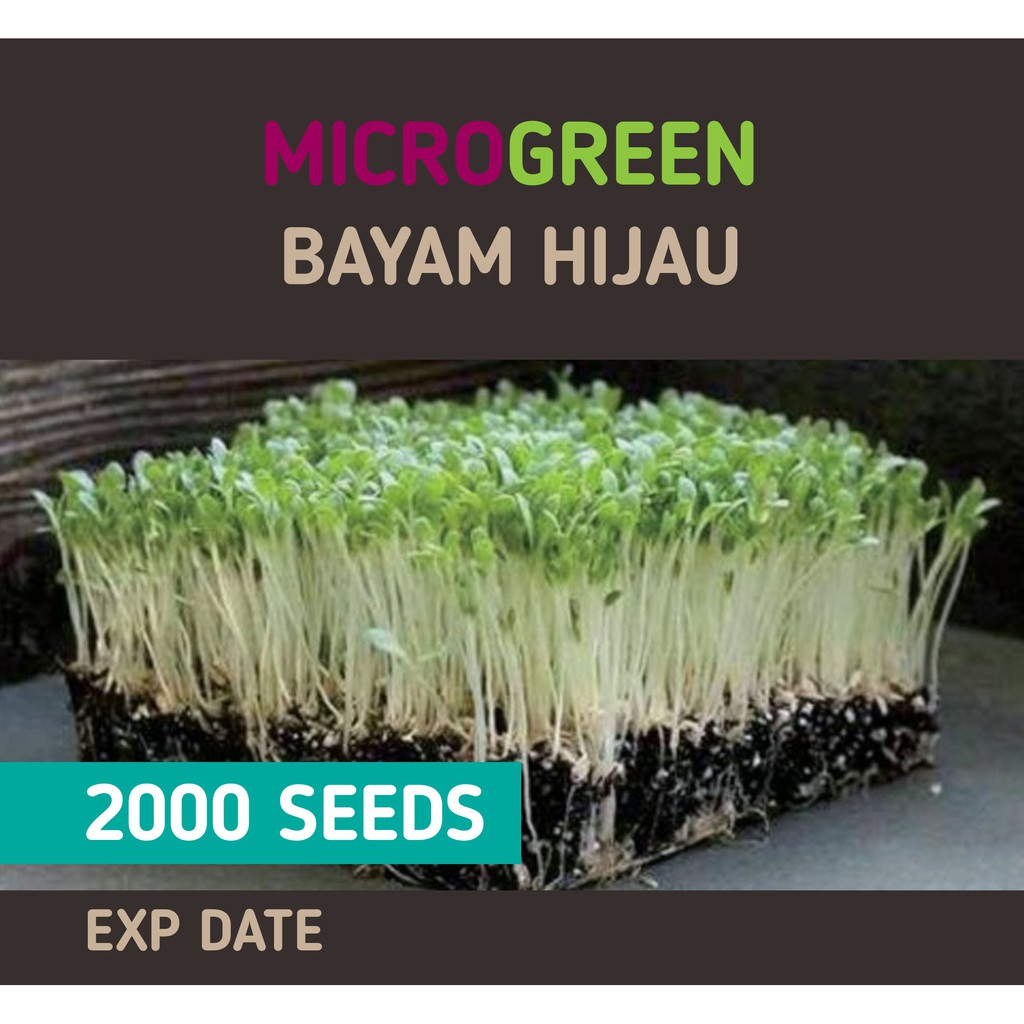 Benih Bibit Microgreen Ekonomis (Kemasan Baru)