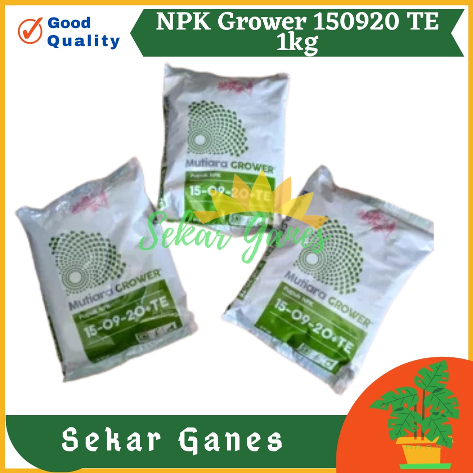 Ori Pupuk Daun Mutiara Grower 15 09 20 Te 500 Gram Pupuk Npk Pertumbuhan Pembibitan 500 Gram