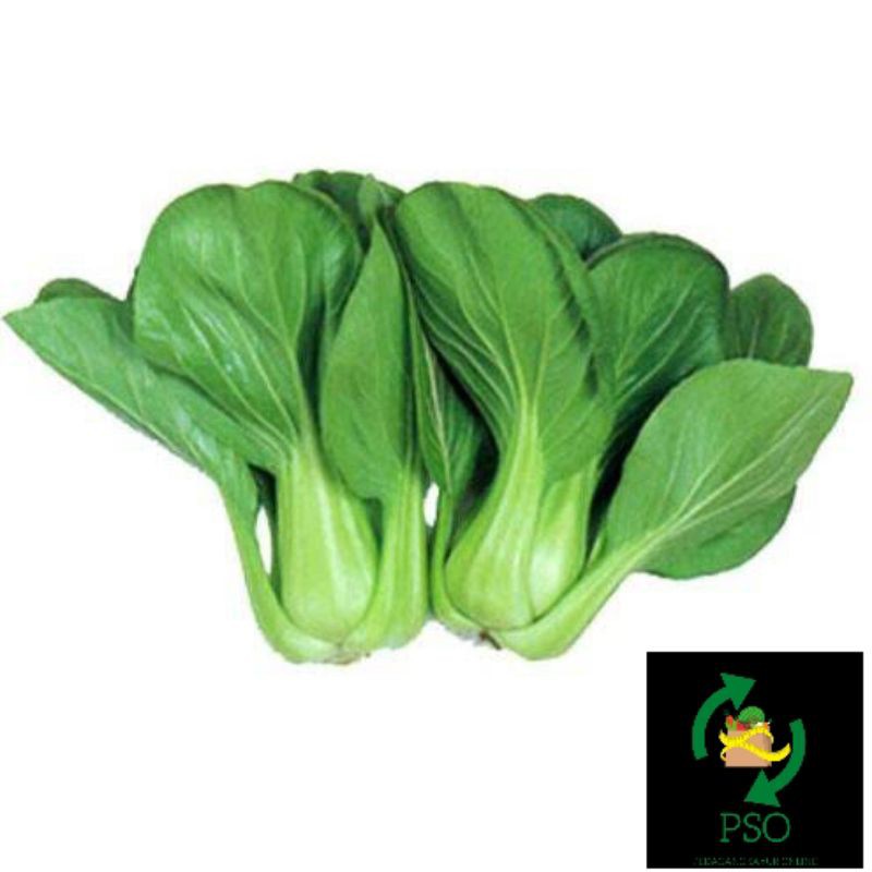 

PAKCHOI/250GR