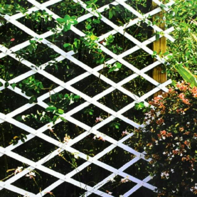 pagar tanaman rambat/teralis plastik 1x3m putih hijau