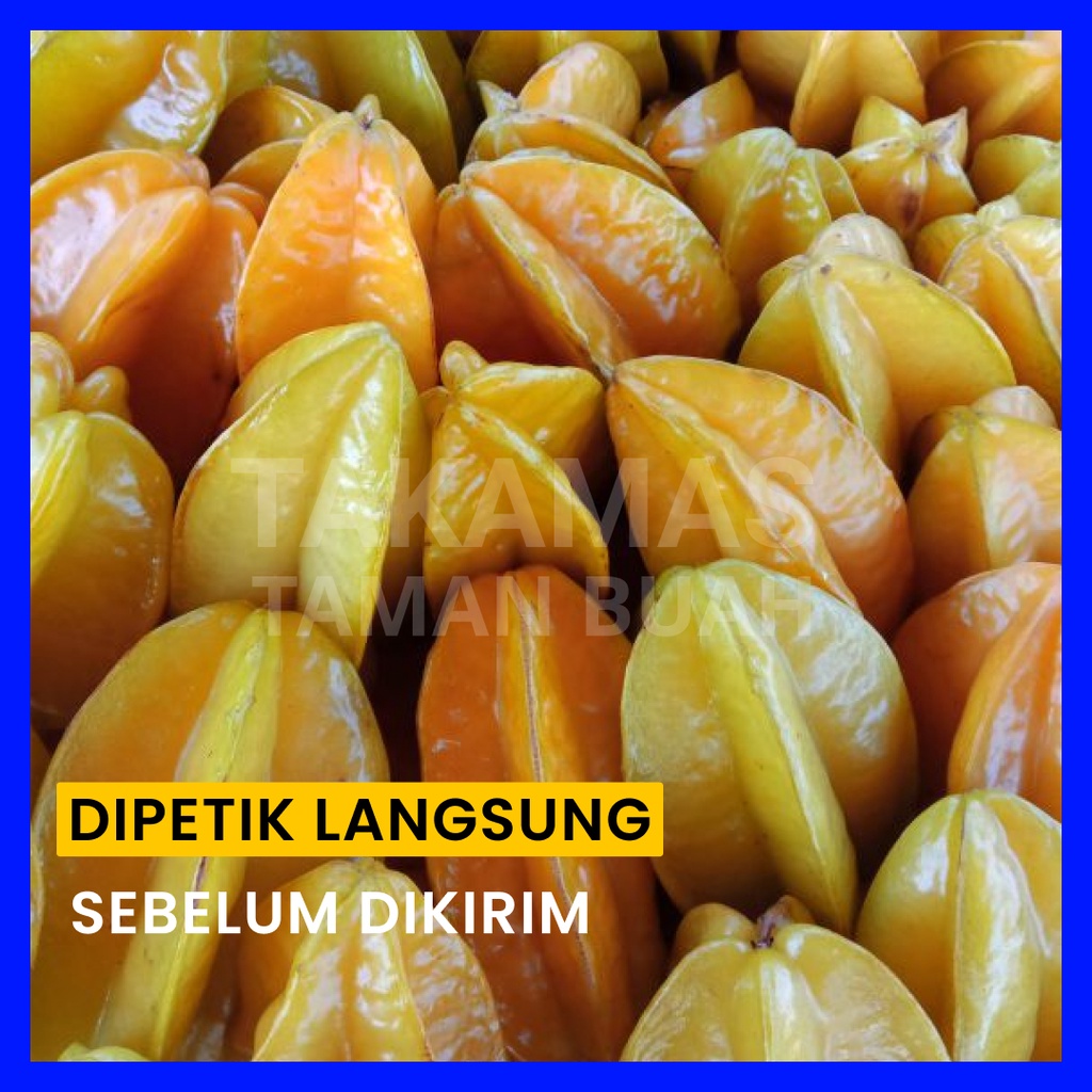 

Buah Belimbing Madu Manis Belimbing Segar Belimbing Rujak