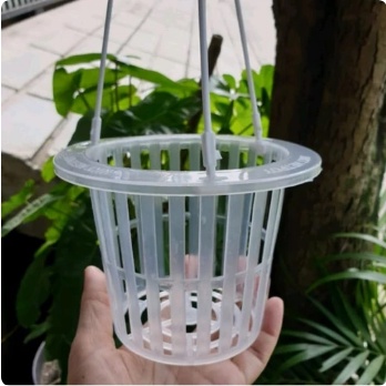 NETPOT GANTUNG VANDA BENING - POT VANDA BENING - POT BENING