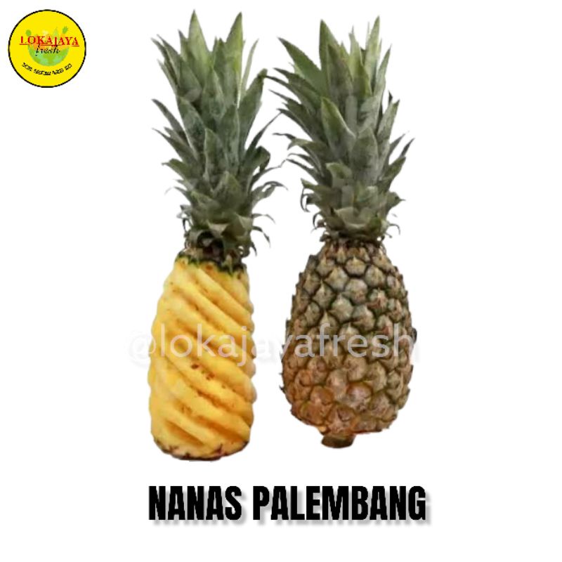 

Nanas Palembang 1 pcs