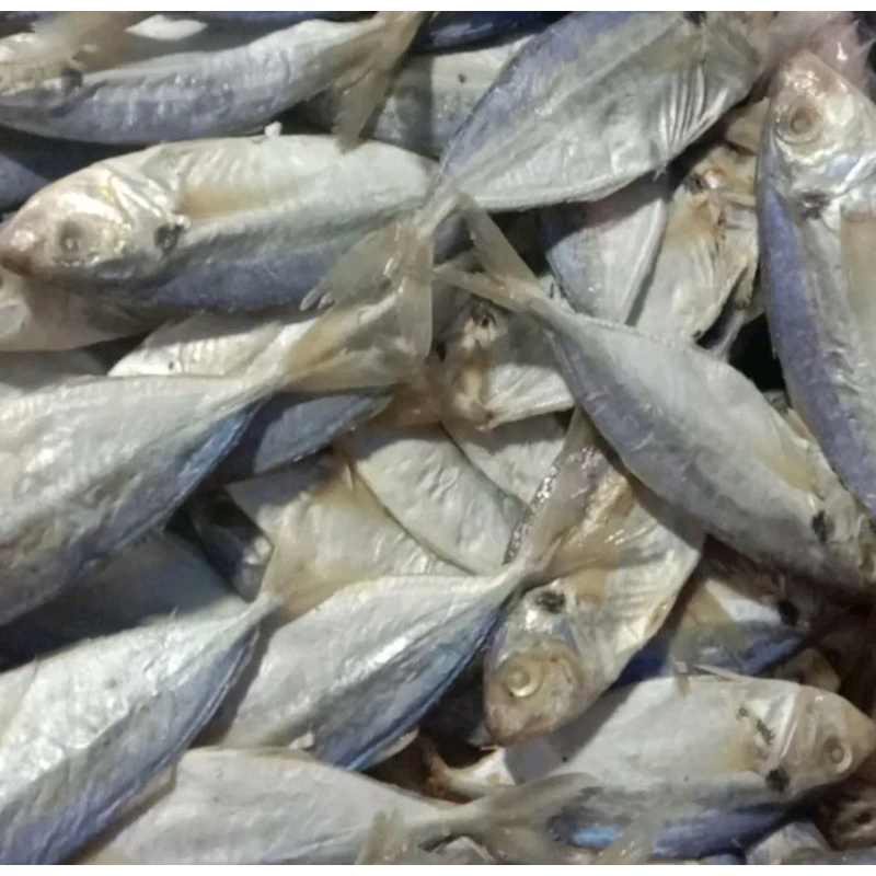 

ikan asin selar (250 gram)