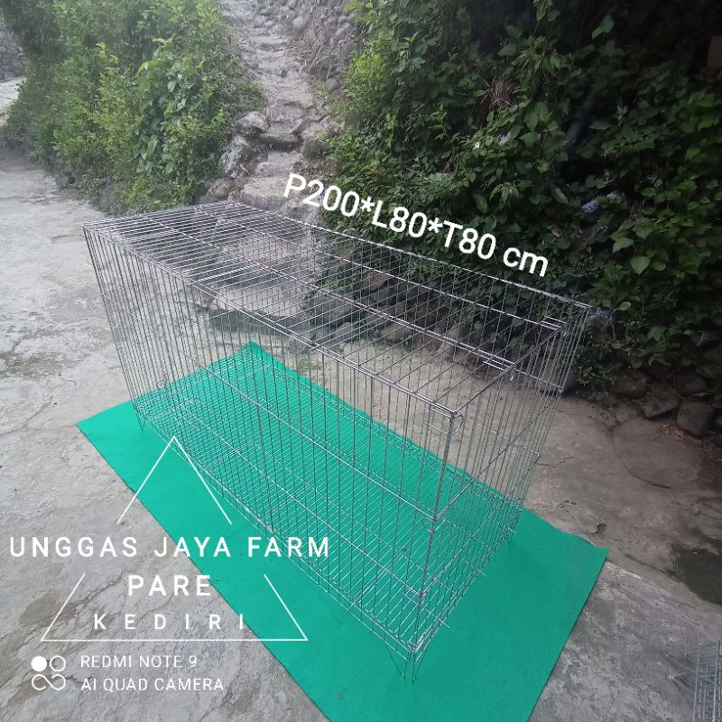 KANDANG BOX AYAM JUMBO