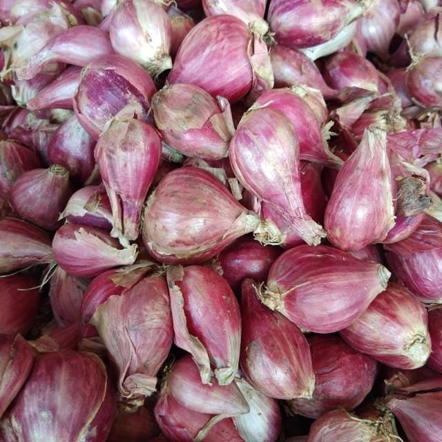 

Bawang Merah 1kg