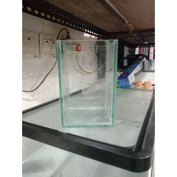 Soliter cupang ukuran 10x10x15 kaca 5mm Soliter kaca Aquarium cupang