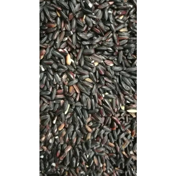 

Promo Awal tahun Beras Ketan Hitam PK per 1 Kg Promo Awal tahun