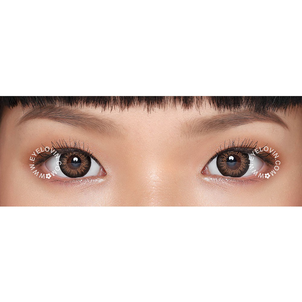 Eyelovin x Patricia Stephanie Softlens Neo Cosmo - Mendy Brown N024