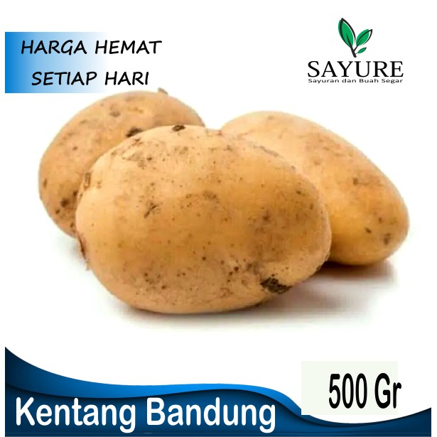 

KENTANG BANDUNG 500 GR
