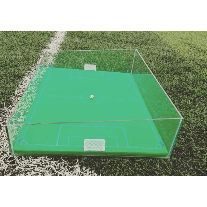 miniatur lapangan bola dan mini soccer