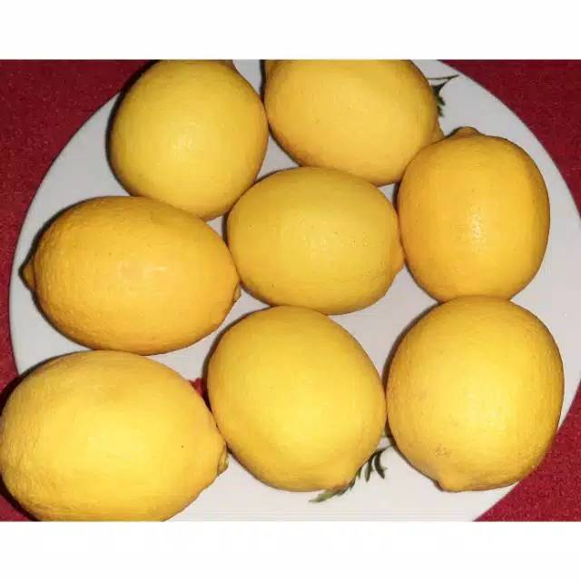

Lemon impor