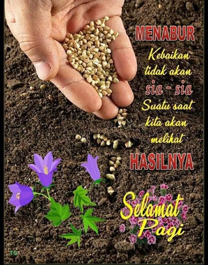 Dreamcatcher 11cm Bells Dream Catcher ( Hiasan Dinding )