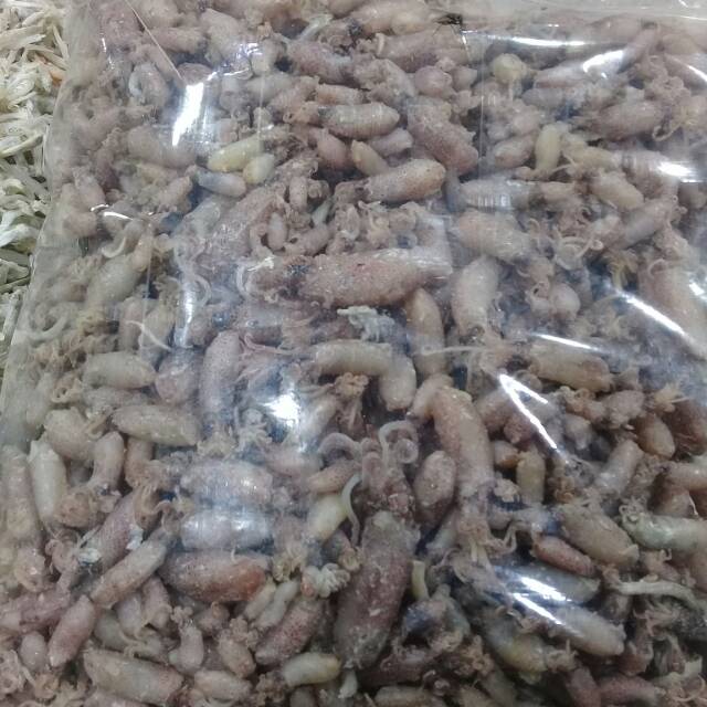 

Cumi asin kering