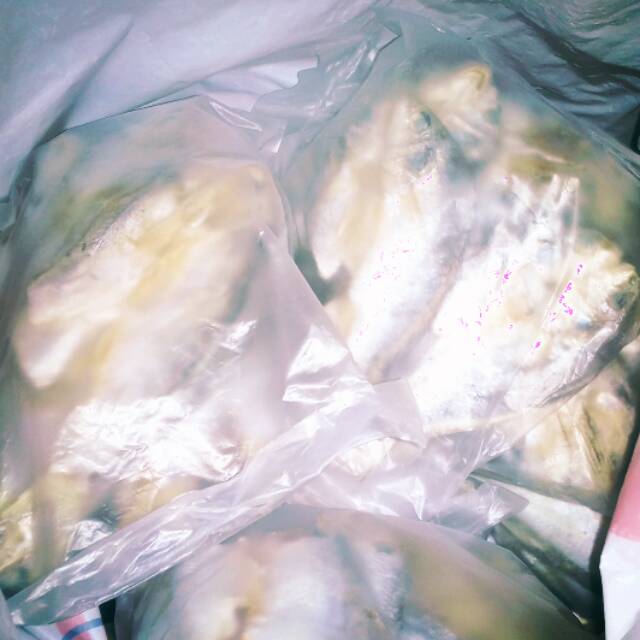 

Ikan asin segar