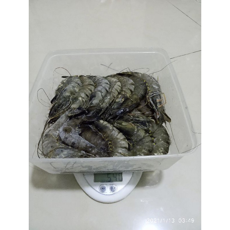 

seafood bestseller udang pancet udang tiger udang windu size 40-50 500gr