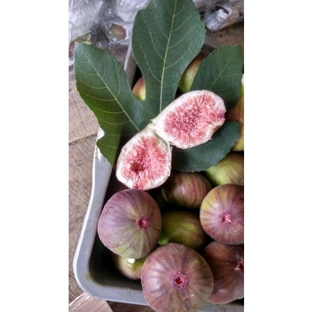 

BUAH TIN FIG FRESH 500GRAM