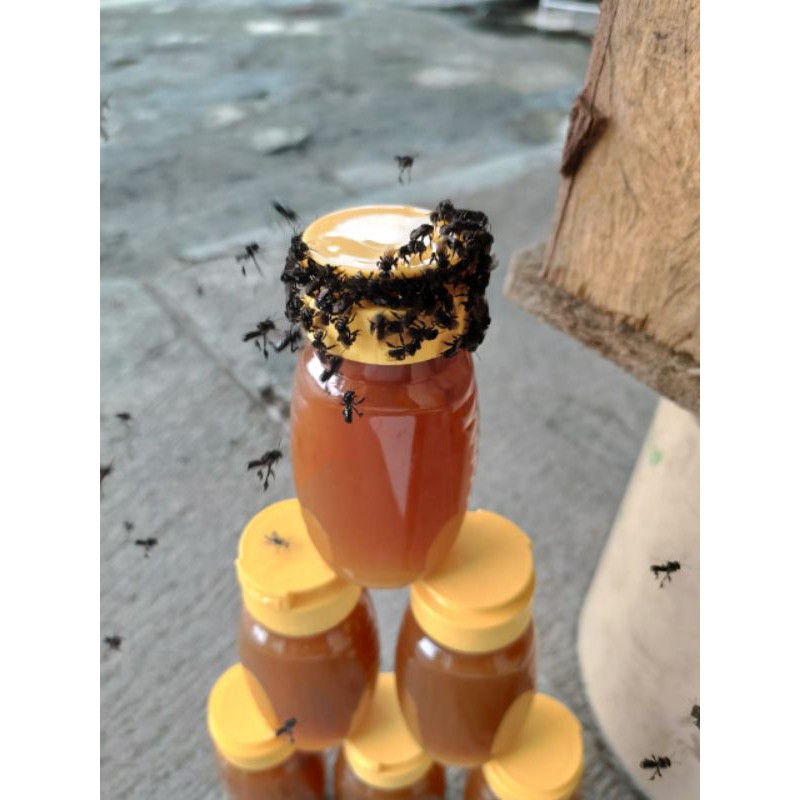 

MADU KLANCENG KEMBAR botol kecil 120ml